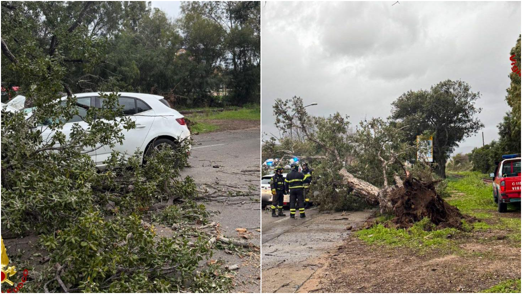 Albero cade su un’auto: due feriti