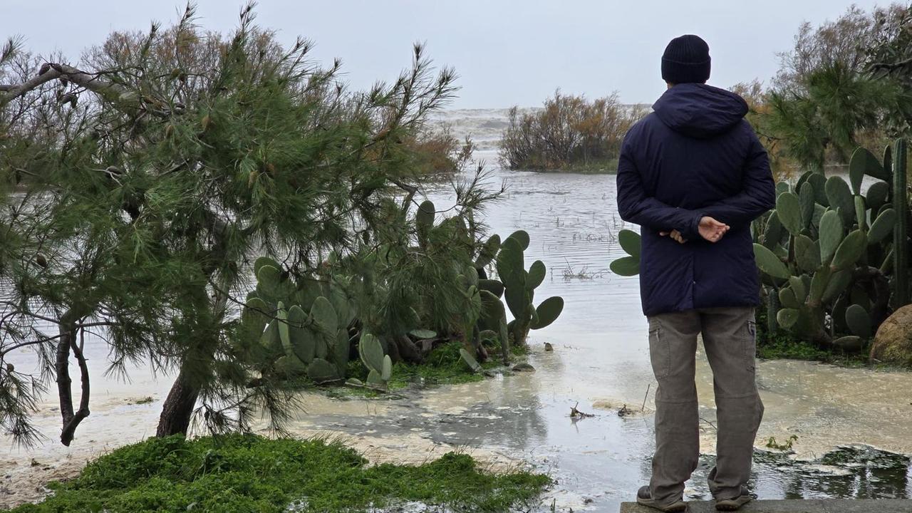 
	<em>(foto Rosas)</em>

