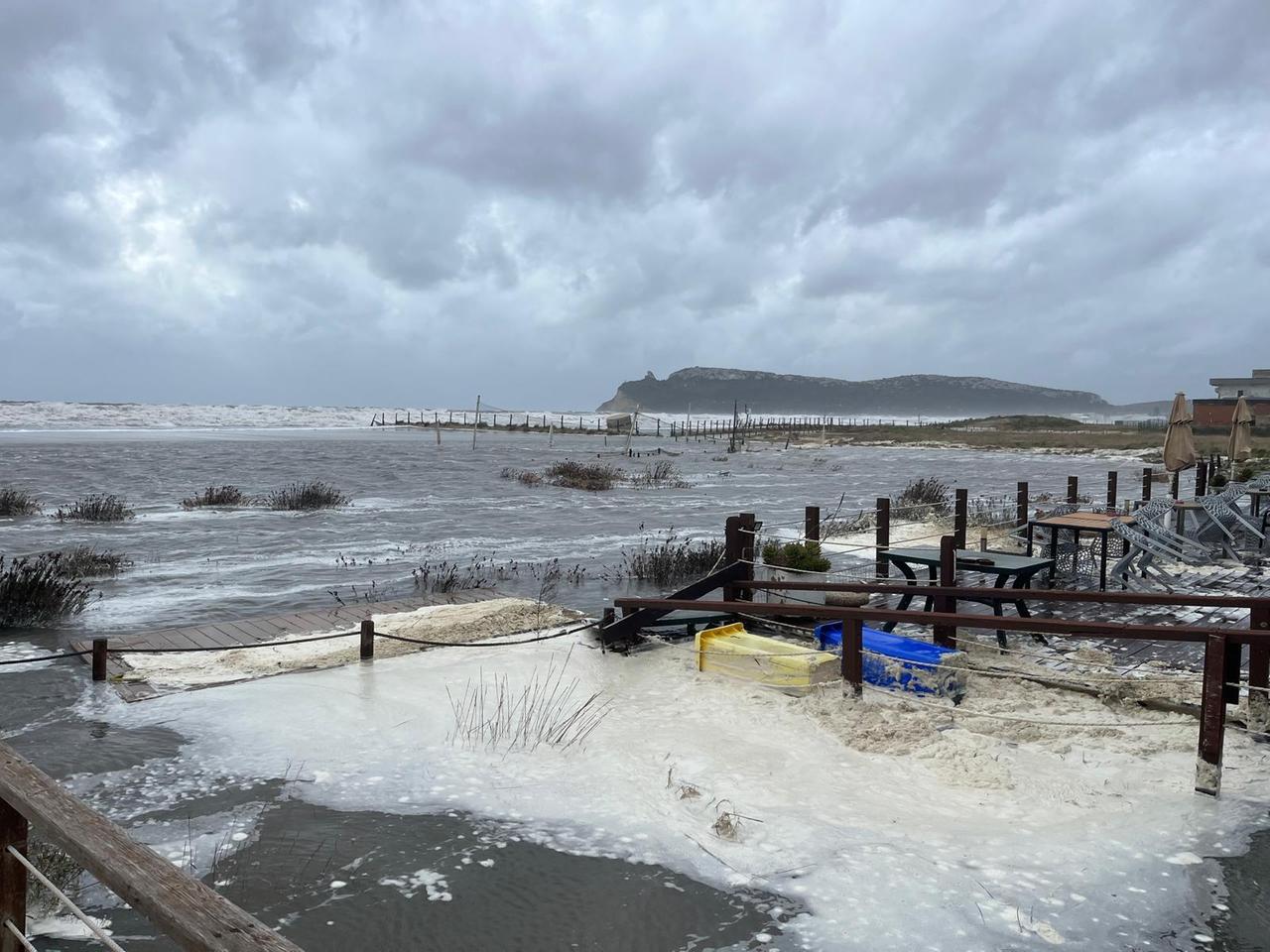 
	<em>(foto Rosas)</em>

