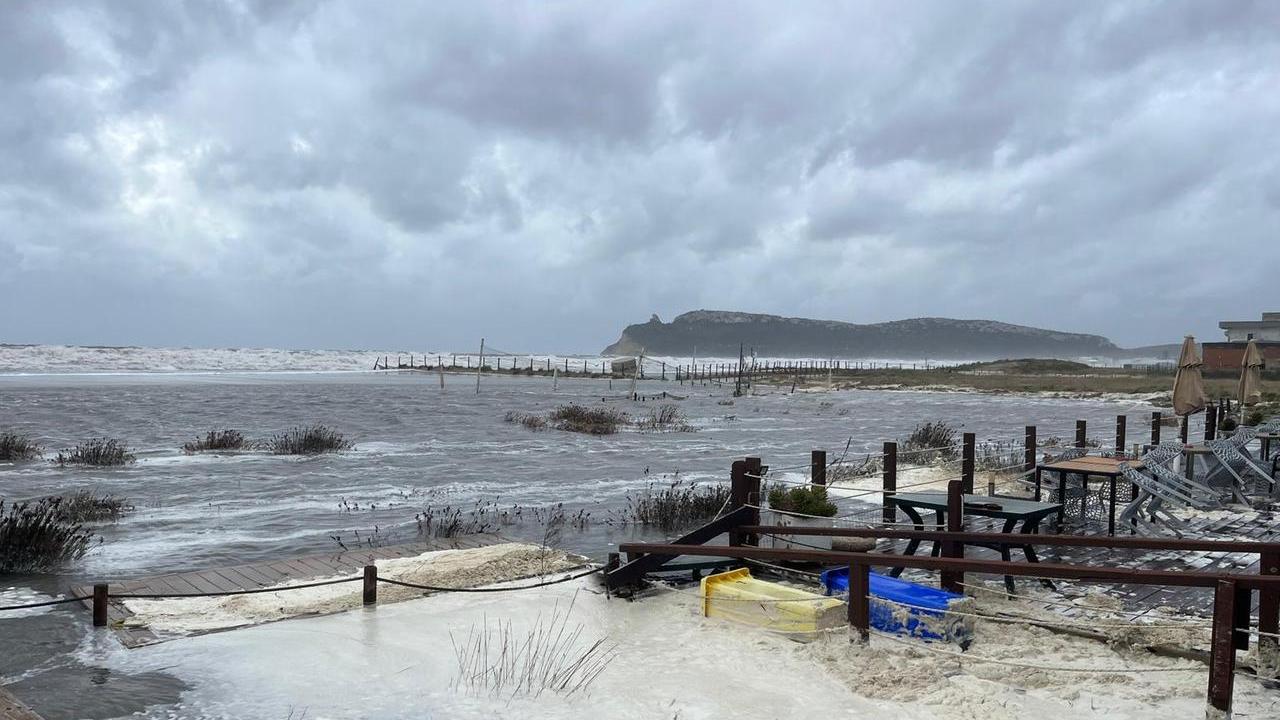 <em>(foto Rosas)</em>