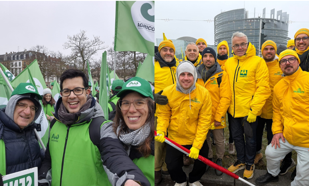 «Il Mercosur uccide l’agricoltura». Da Ferrara a Strasburgo per la protesta