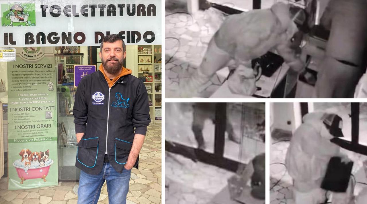 Ladri incappucciati svaligiano la toelettatura per cani “Il bagno di Fido” – Video