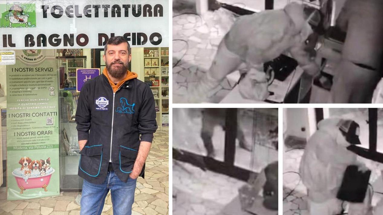 Ladri incappucciati svaligiano la toelettatura per cani “Il bagno di Fido” – Video