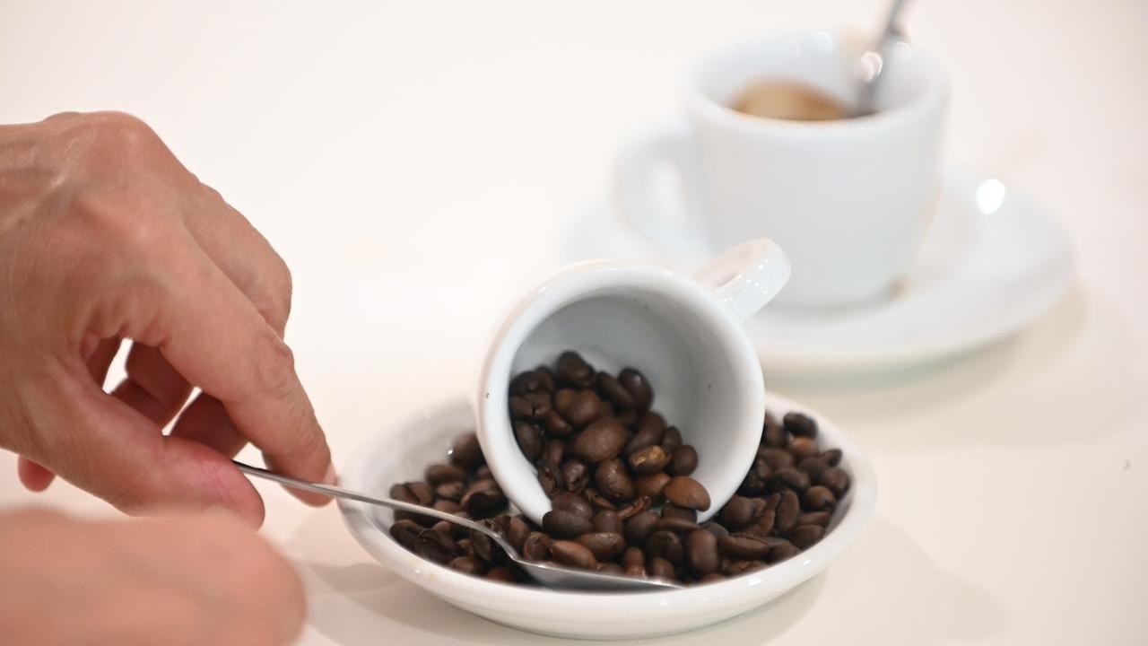 Il caffè, dall’Etiopia alle tazzine di tutto il mondo: una storia millenaria di aromi e culture