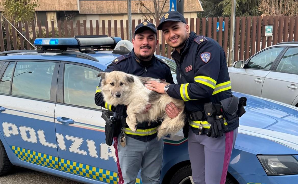 
	Gli agenti della polizia stradale di Bologna con il cane

