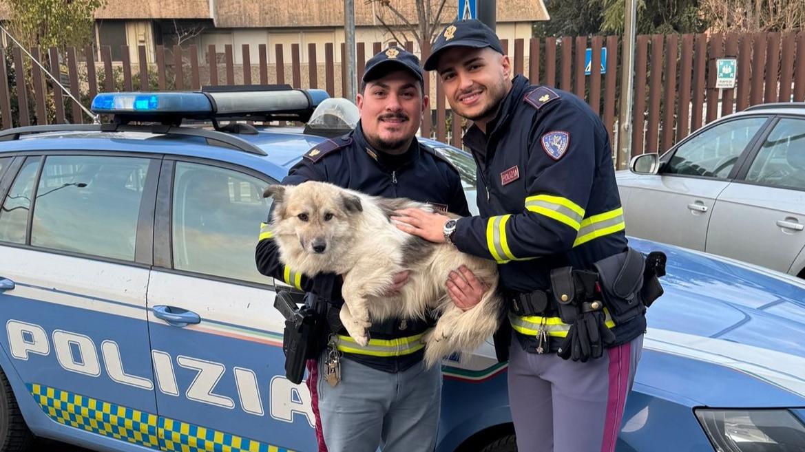 Gli agenti della polizia stradale di Bologna con il cane