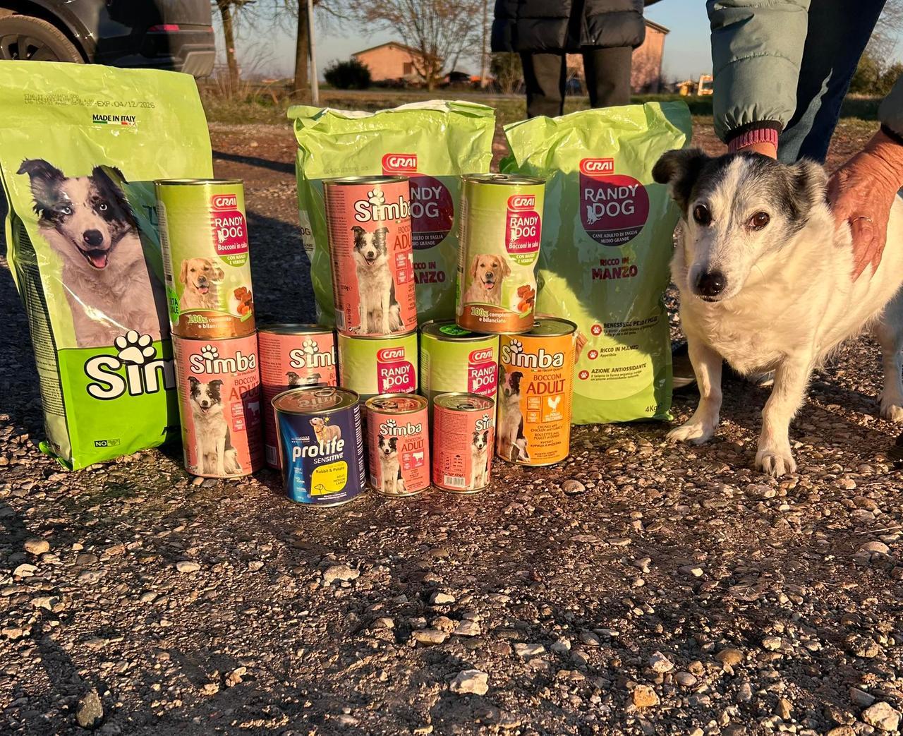 Giorgio, il cagnolino di Scortichino sommerso di cibo dopo essere diventato famoso. Il dono al canile