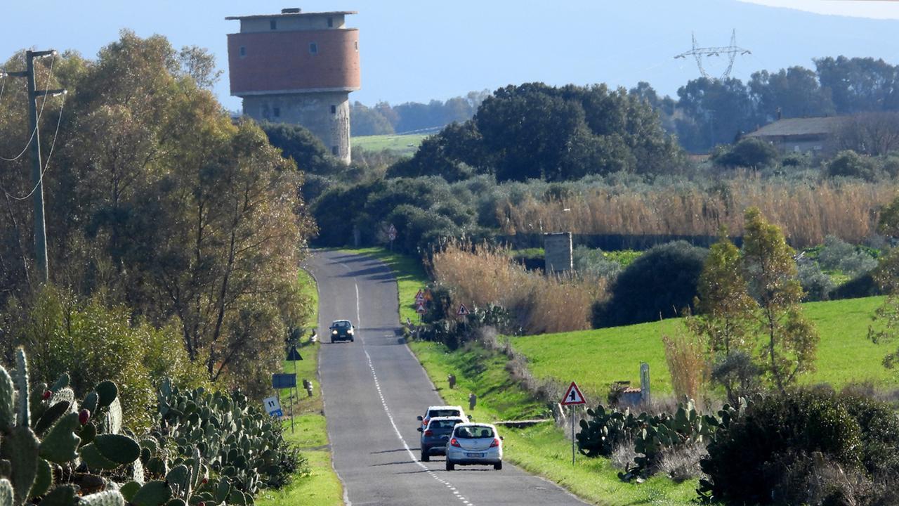 (foto di Francesco Pinna)