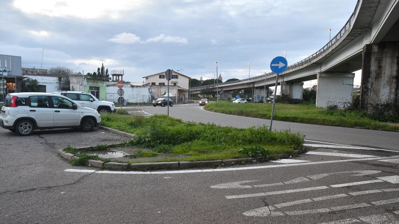 (foto di Francesco Pinna)