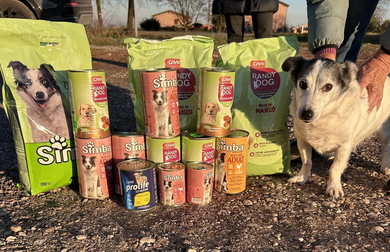 
	Il cane Giorgio e il cibo donato

