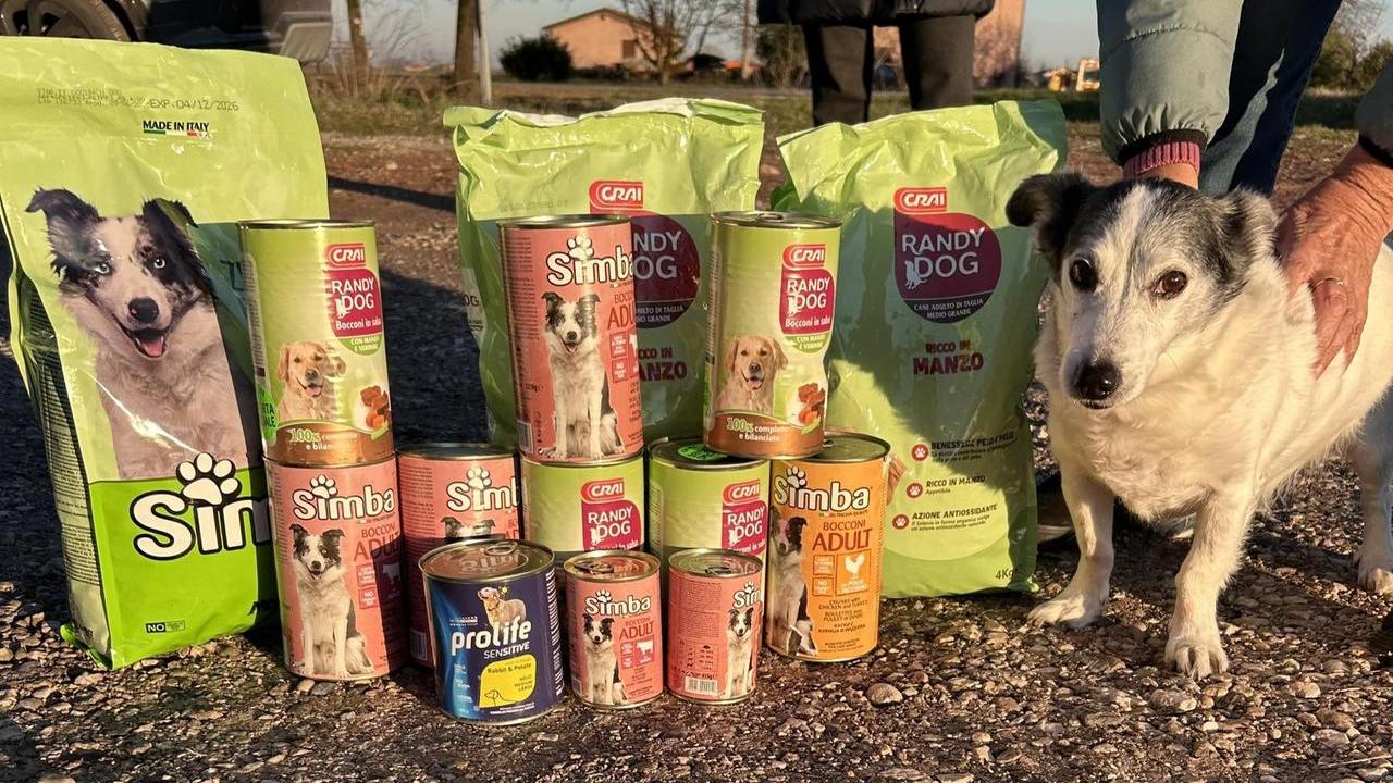 Il cane Giorgio e il cibo donato