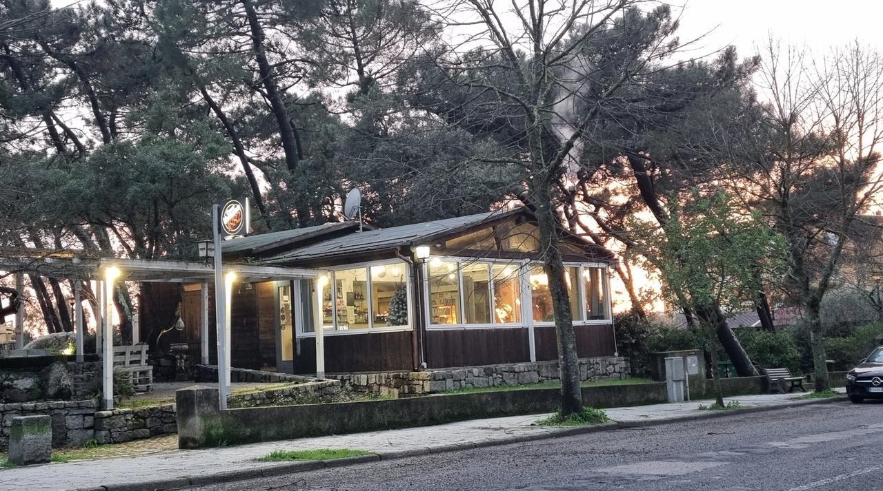 
	(foto di Massimo Locci)

