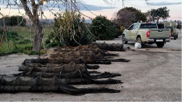 Pesca abusiva, nello stagno trenta reti sequestrate col blitz della Forestale