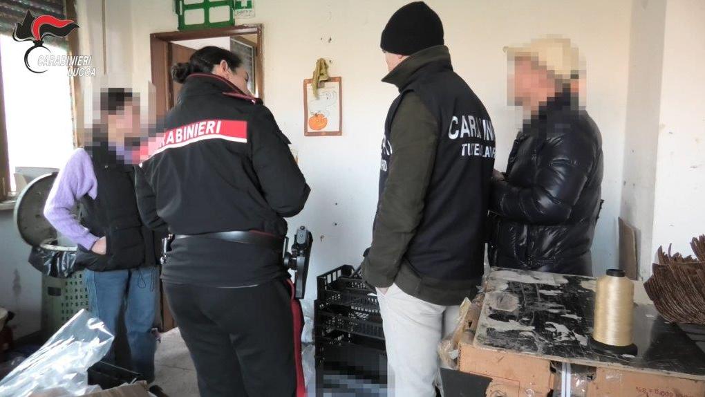 Lucca, scoperto un laboratorio con sei lavoratori clandestini: due arresti – Video: il blitz dei carabinieri
