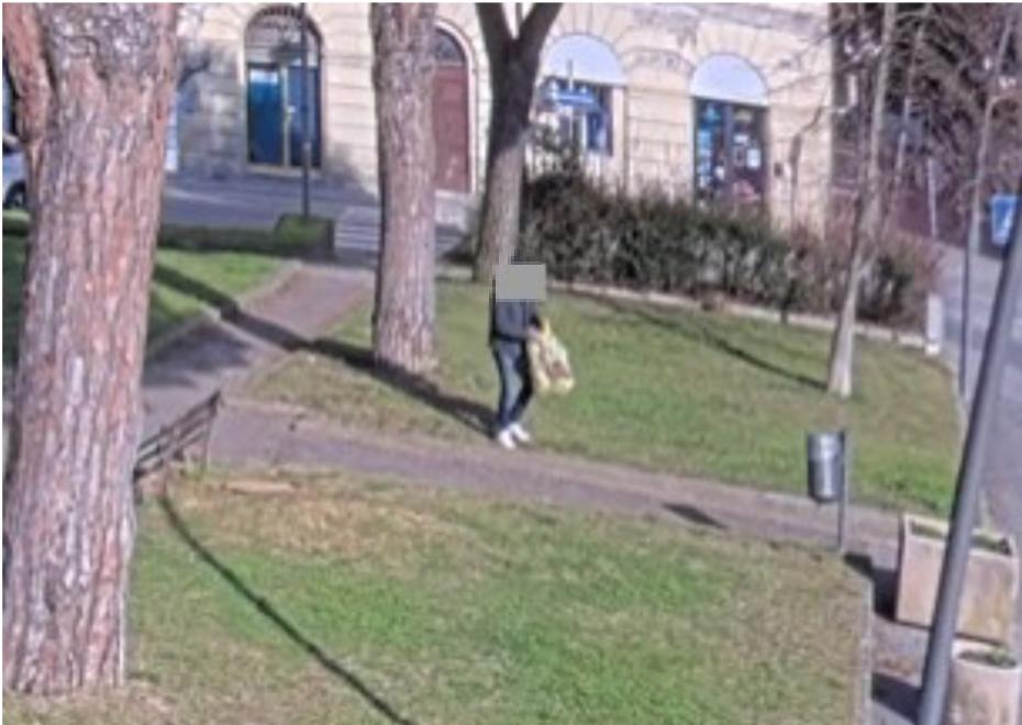 Un frame delle immagini video