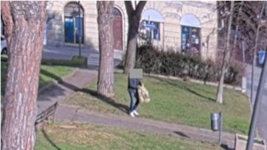 Un frame delle immagini video