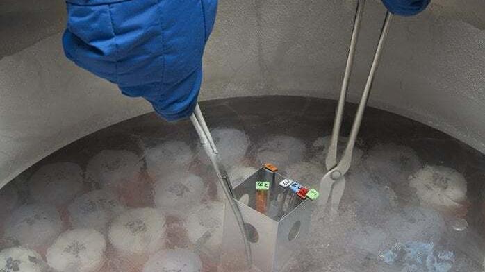 Caso embrioni a Lagosanto, l’Asl attacca. Sotto accusa chi segnalò