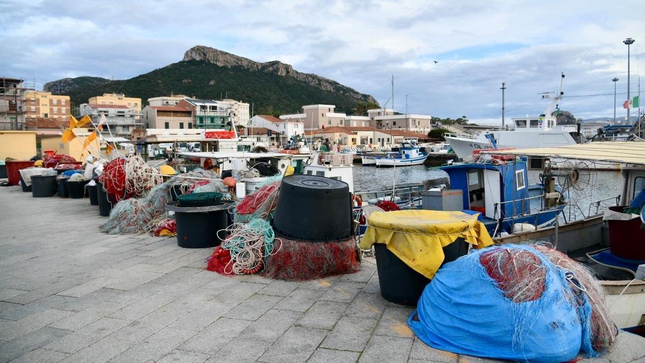 
	Reti e pescherecci a Golfo Aranci (foto di Vanna Sanna)

