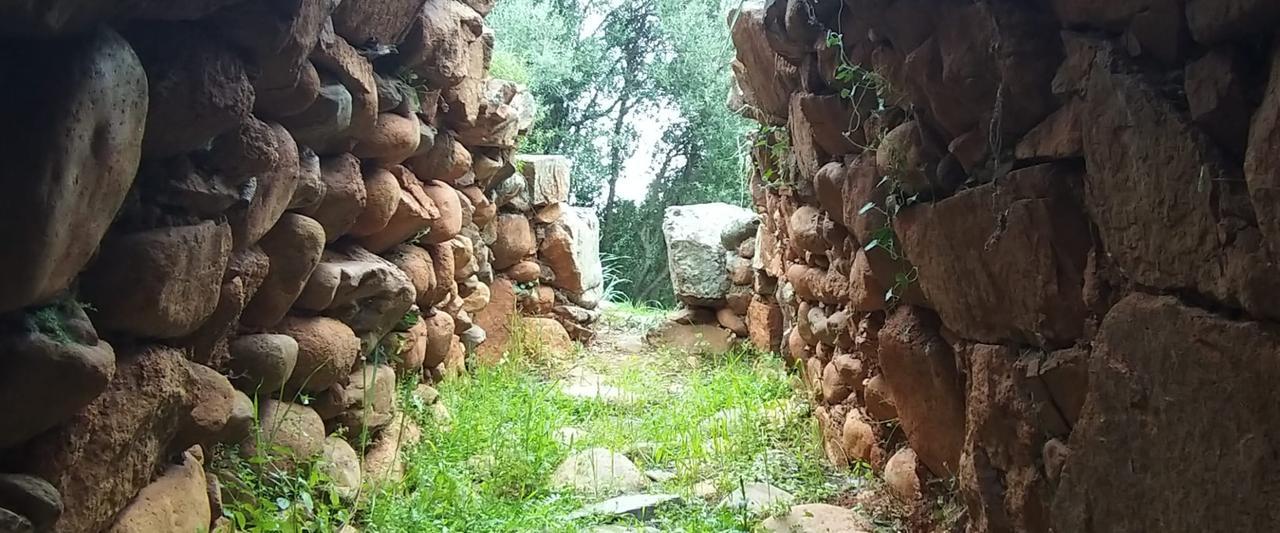 Il parco di Gutturu Mannu diventa Ecomuseo: nuraghi e tombe dei giganti ora si visitano anche online