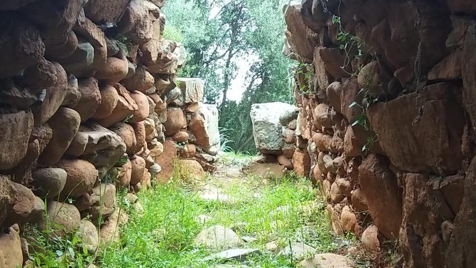 Il parco di Gutturu Mannu diventa Ecomuseo: nuraghi e tombe dei giganti ora si visitano anche online
