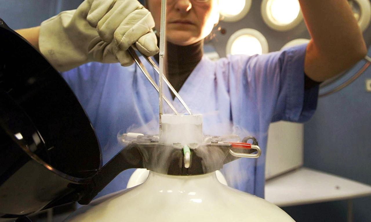 
	Biologa estrae da un contenitore di azoto liquido embrioni congelati (foto archivio)

