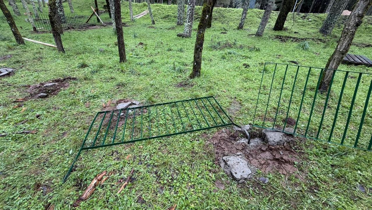 Le recinzioni divelte sull'Ortobene