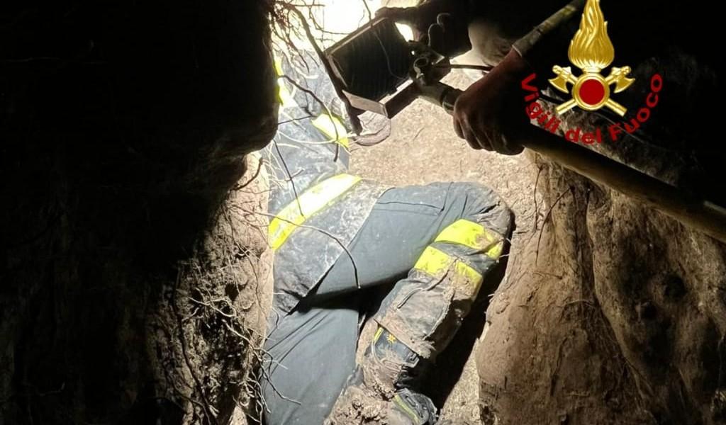 I vigili del fuoco salvano Kenya, la cagnolina rimasta intrappolata per ore in un tunnel