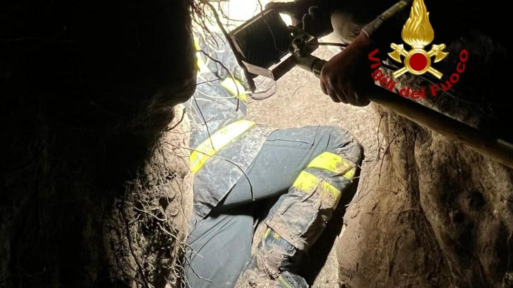 Ore d’ansia per una cagnolina intrappolata in un cunicolo, il miracoloso salvataggio: ecco cosa è successo