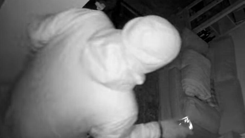 Il ladro ripreso di spalle dalla telecamera interna dell’abitazione