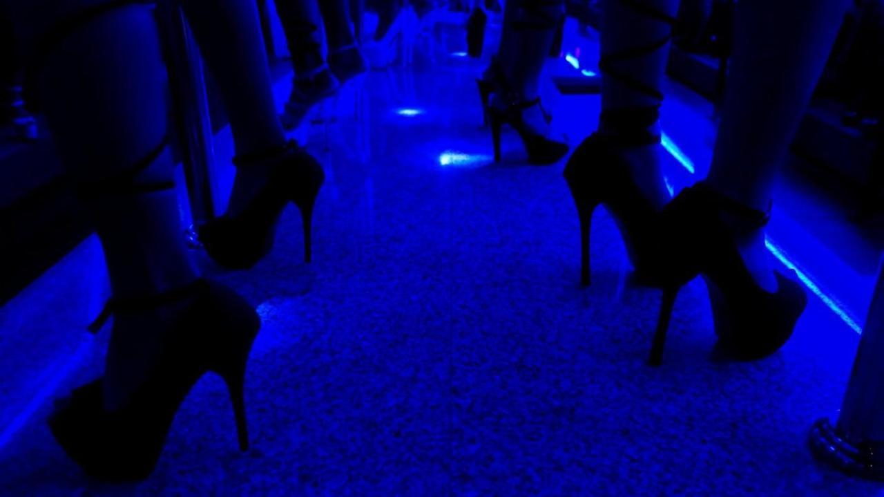 
	Due escort come vicine di casa

