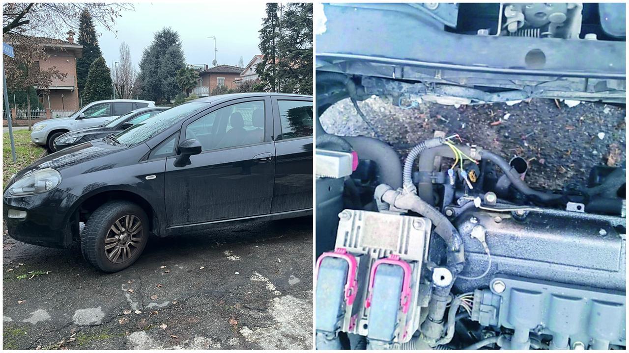 
	Una delle auto colpite dai ladri

