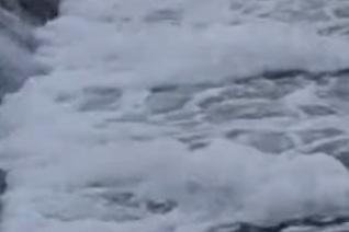 
	La schiuma nel fiume Secchia

