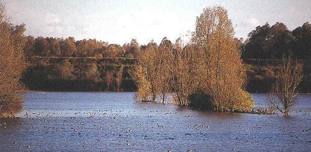 Casse del Secchia: in arrivo 4 milioni per la sistemazione 