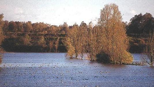 Casse del Secchia: in arrivo 4 milioni per la sistemazione