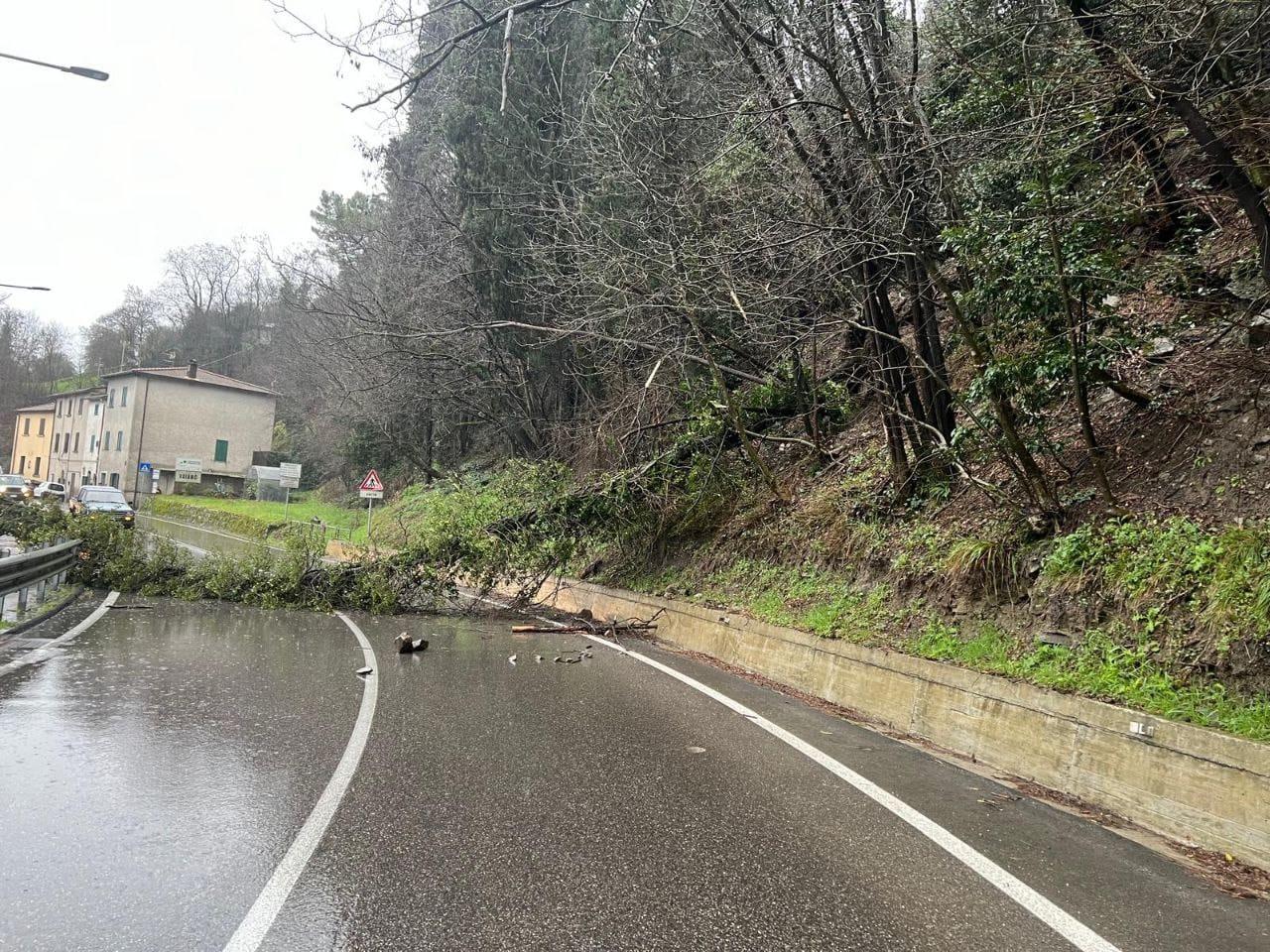 Maltempo, Regionale 325 a senso unico alternato tra Vaiano e Vernio per la caduta di un albero
