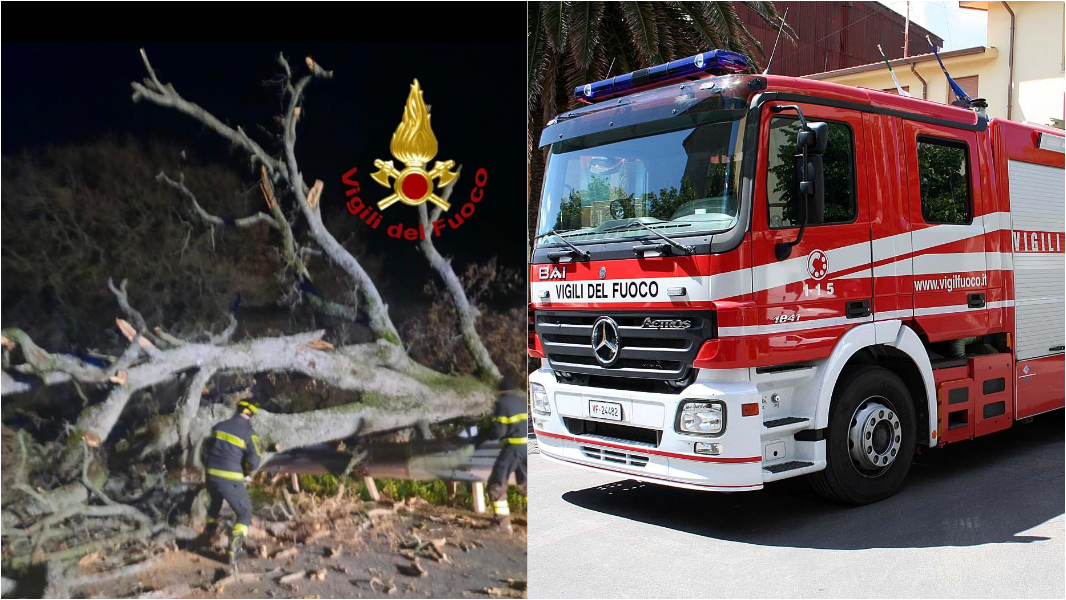 Maltempo, paura sulla provinciale 128 bis: un grosso albero cade sulla carreggiata