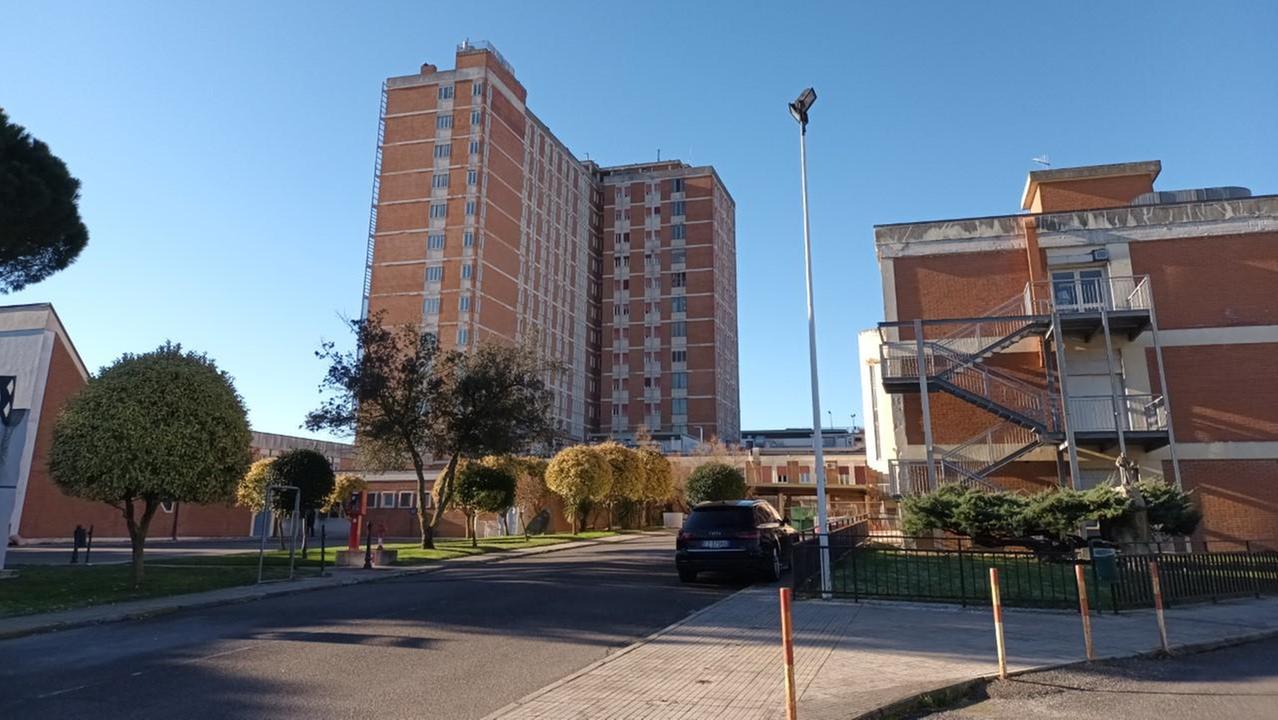 Donazione di organi, il gesto di una giovane donna salva altre vite