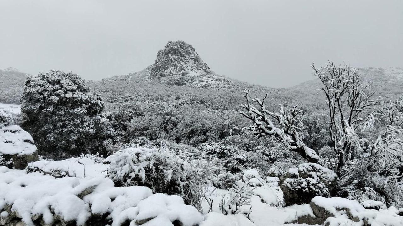 Da oggi fino al 31 gennaio i giorni più freddi dell’anno – Ecco perché si chiamano “giorni della merla”