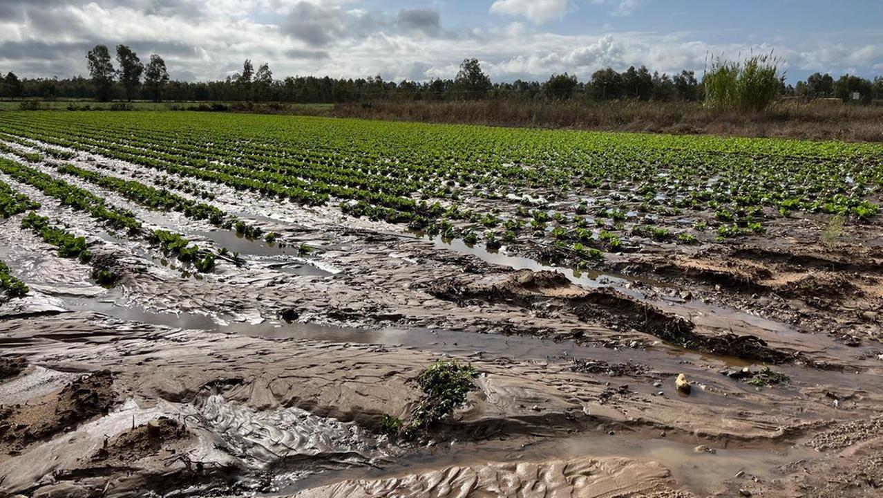 Dalla siccità alle troppe piogge: è di nuovo allarme rosso per colture e semine