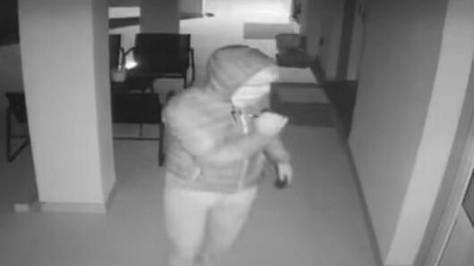 Villa svaligiata dai ladri “silenziosi”: «Eravamo in casa, hanno rubato tutto»