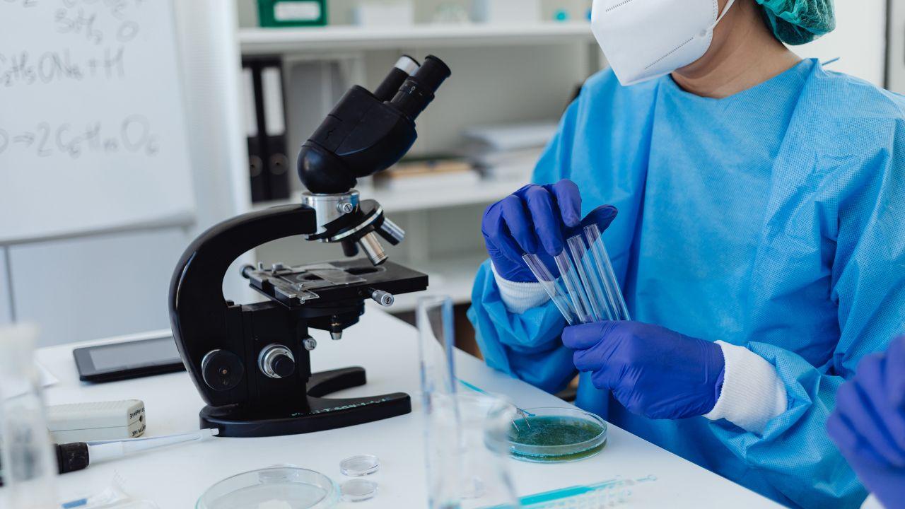 
	Lo studio &egrave; stato pubblicato su "Pnas&rdquo; (Proceedings of the National Academy of Sciences).

