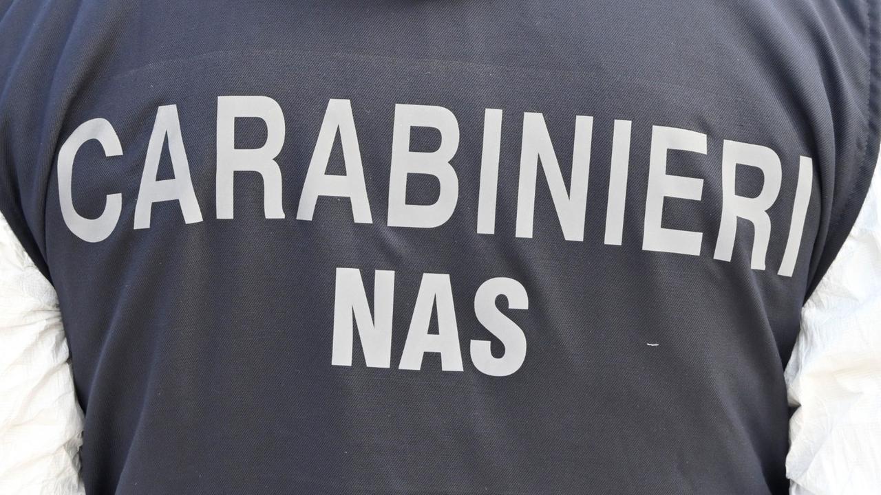 Blitz dei Nas in una rivendita: sequestrate 11 tonnellate di mangimi