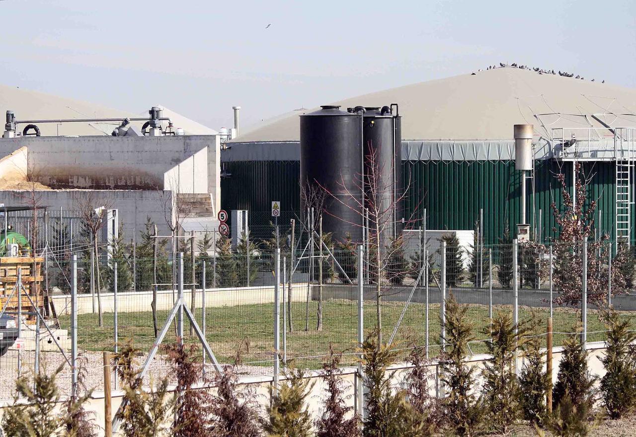 Ferrara, appello all’Unesco per limitare biogas e utilizzo del suolo