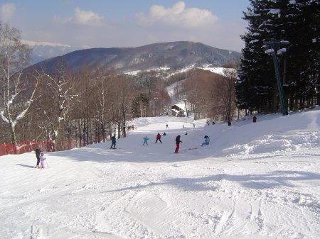 
	Piste da sci (foto di repertorio)

