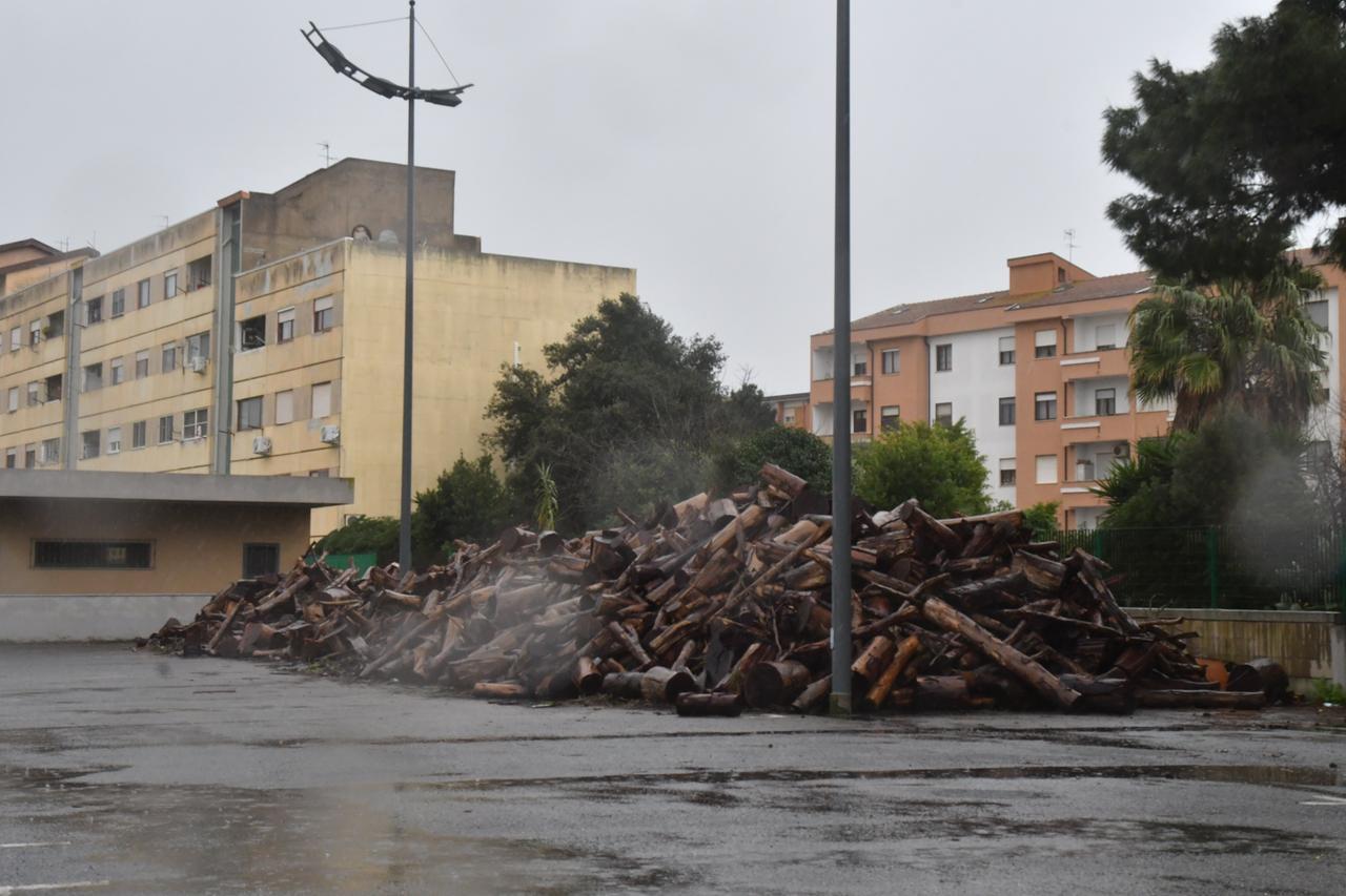 Il Comune mette in vendita quintali di legna “dimenticata” in uno spazio pubblico