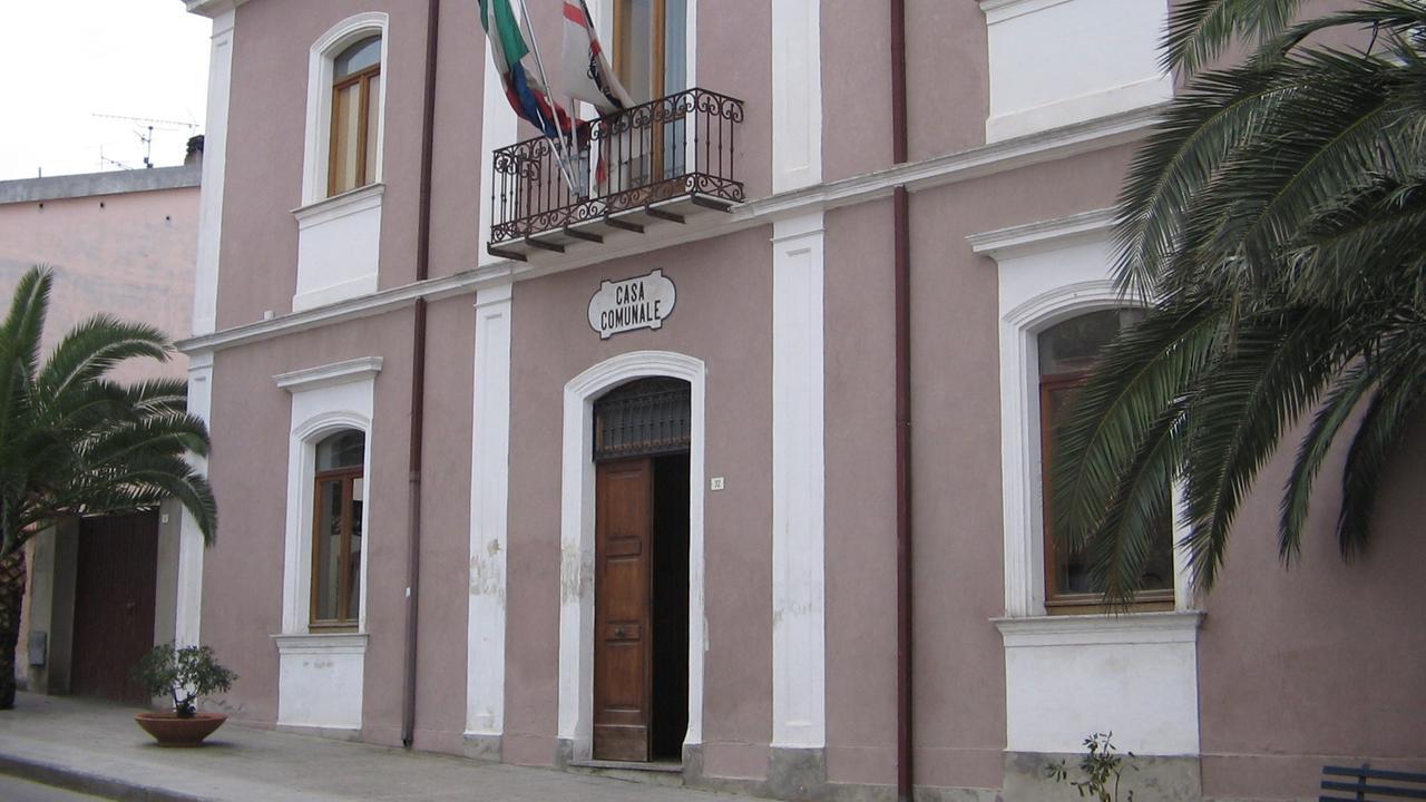 Gli alberi pericolanti diventano legna da ardere gratis per i cittadini, ecco come farne richiesta