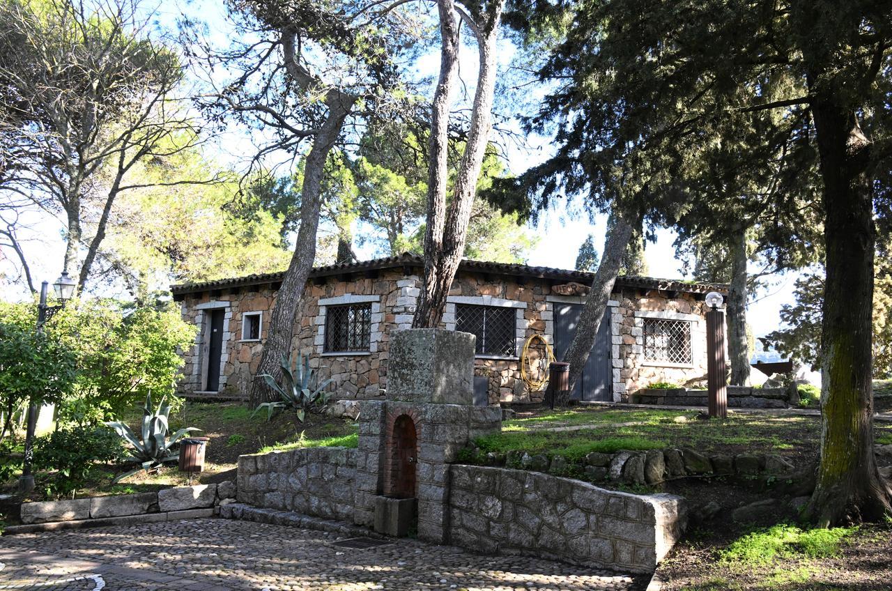 
	(foto di Massimo Locci)

