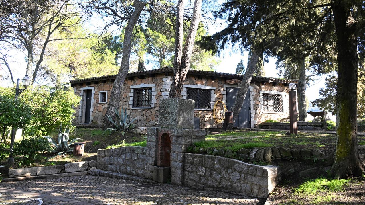 (foto di Massimo Locci)