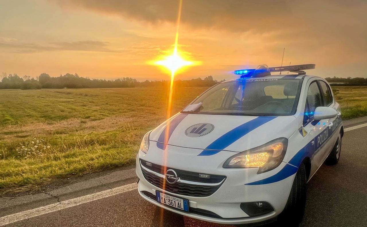 
	La polizia locale di Modena ha effettuato il blitz

