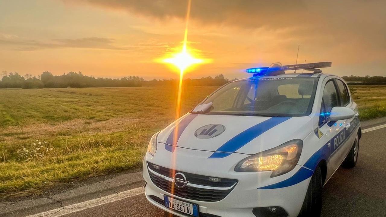 La polizia locale di Modena ha effettuato il blitz